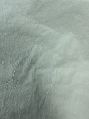 40D*40D 100%N 90GSM Tissu en nylon