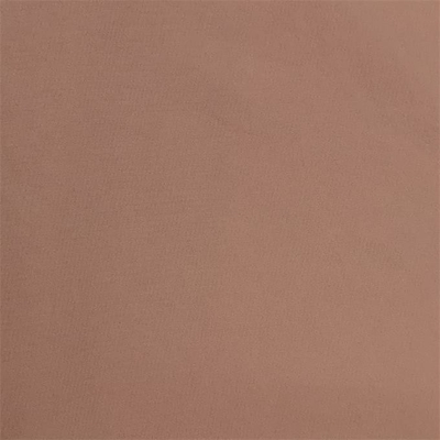 Double tissu d'armure en nylon à chaînes de ratière du tissu 135gsm 70dx160d de Taslon