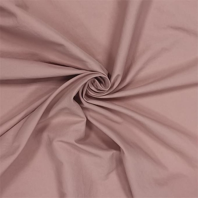 Double tissu d'armure en nylon à chaînes de ratière du tissu 135gsm 70dx160d de Taslon