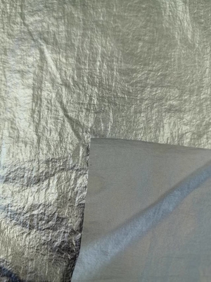 20D*20D Tissu en nylon à 100%N 40GSM