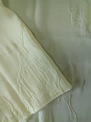 50D*50D+30D 100%P 106GSM Tissu en polyester