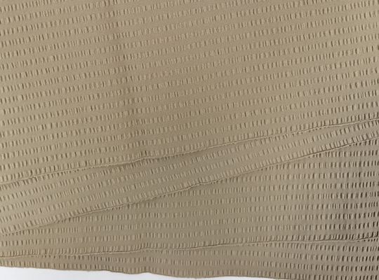 50D*50D+100D 100%P 101±3GSM Board Shorts Fabric